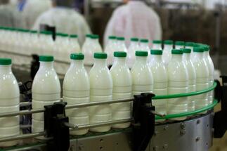 The agricultural cooperative Tara mea to invest € 9 million in its dairy factories