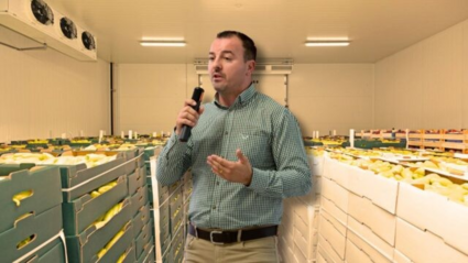 Energy-independent logistics centers: the next generation of cold storage facilities for the agri-food sector