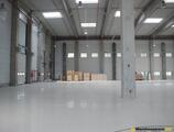 Warehouses to let in Timisoara Airport Park