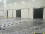 Warehouses to let in Depozit frigorific Timisoara