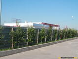 Warehouses to let in Centrul Logistic Olympia