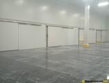 Warehouses to let in Depozit frigorific Timisoara