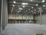 Warehouses to let in Log Center Timisoara