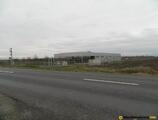 Warehouses to let in Hala industriala Satu Mare