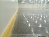 Warehouses to let in Depozit frigorific Timisoara