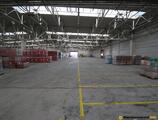 Warehouses to let in Warehouse for rent Ploiesti Industrial Park