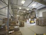 Warehouses to let in Eurocooling Center