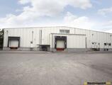 Warehouses to let in Eurocooling Center