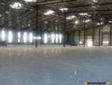 Warehouses to let in HALA DE PRODUCTIE SI DEPOZITARE ARC PARC DEJ