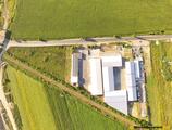 Warehouses to let in Tecuci  Warehouse