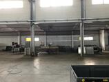 Warehouses to let in Warehouse Arad