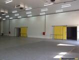 Warehouses to let in Buftea warehouse