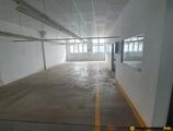 Warehouses to let in Production warehouse in Apaca, Bucharest