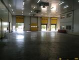 Warehouses to let in Buftea warehouse
