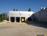 Warehouses to let in Buftea warehouse