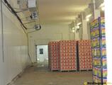 Warehouses to let in Hale, depozite, birouri pentru inchiriat