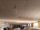 Warehouses to let in Warehouse Sibiu
