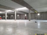Warehouses to let in DLP - Dragomiresti Logistic Park