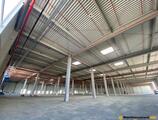 Warehouses to let in Constanta Business Park