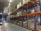 Warehouses to let in Warehouse Tauros Chiajna