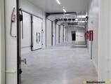Warehouses to let in DEPOZIT NELMAR