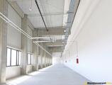 Warehouses to let in CTPark Sibiu