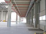 Warehouses to let in CTPark Sibiu