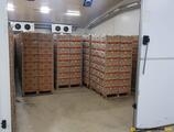 Warehouses to let in Warehouse Eurobananas Popesti -Leordeni