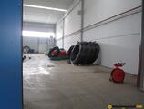 Warehouses to let in Warehouse Framan Timisoara