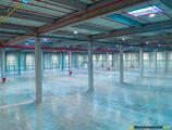 Warehouses to let in Timisoara Industrial Park I&II