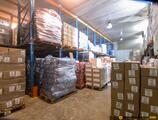 Warehouses to let in Depozit Frigorific Mures