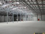 Warehouses to let in Crevedia Logistic Park