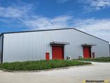 Warehouses to let in Crevedia Logistic Park