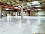 Warehouses to let in Spaceplus Bucharest West