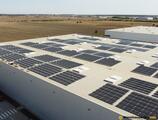 Warehouses to let in CTPark Bucharest North