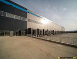 Warehouses to let in ELI PARK Bacau