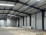 Warehouses to let in Depozit Centura Mogosoaia