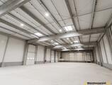 Warehouses to let in Otopeni Cargo Terminal