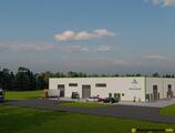 Warehouses to let in Parcul Industrial Mureș - Spații de depozitare de închiriat