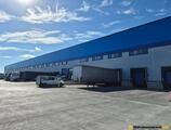 Warehouses to let in Olympian Park Cluj
