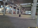 Warehouses to let in Oferta! Proprietate 5200mp hale cu 3,1 ha teren intravilan, Miercurea Sibiului
