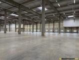 Warehouses to let in CTPark Arad West