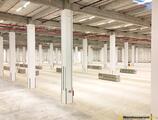 Warehouses to let in CTPark Bucharest West