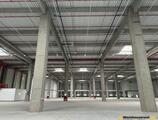Warehouses to let in CTPark Bucharest North