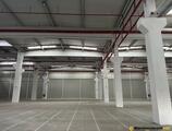 Warehouses to let in CTPark Craiova