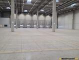 Warehouses to let in CTPark Timisoara Ghiroda