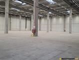 Warehouses to let in CTPark Timisoara Ghiroda