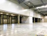 Warehouses to let in CTPark Bucharest South