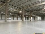 Warehouses to let in CTPark Bucharest: From 1,000 sqm