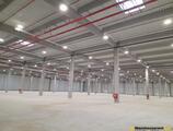 Warehouses to let in CTPark Timisoara North